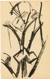 Studies of trees by Ljubow Sergejewna Popowa, 1911/1912, India ink on paper, sold Dec 2019