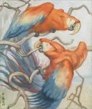 Norbertine Bresslern-Roth, Macaws