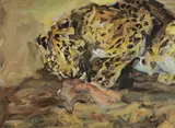 Carl Fahringer, Leopard