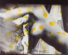 Gernot Schauer, Untitled, 2001, photograph on aluminium board with synthetic-resin varnish; framed