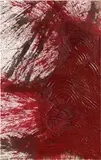 Hermann Nitsch, Schüttbild