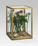 Curt Stenvert, Untitled, 1977, mixed media, plastic flowers, shell in glass showcase, visible from all sides