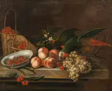Jacob Bogdani, Still life with fruits and parrot, oil on canvas