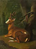Resting stag by Johann Elias Ridinger, oil on canvas, offered Oct 2019