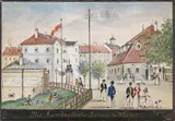 Balthasar Wigand, Die Nussdofer-Linie in Wien