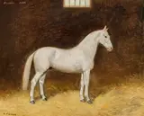 Carl Franz Bauer, Favory Elba