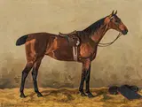 Emil Volkers, Saddled chestnut horse in the stable