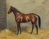 Carl Franz Bauer, Daru