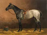 Emil Volkers, Saddled gray horse in the stable