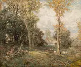 Rudolf Zelenka, Forest landscape, oil on canvas