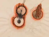 Walter Pichler, Untitled