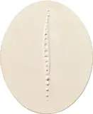 Hans Bischoffshausen, Untitled