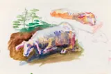 Maria Lassnig, Untitled (Sheeps), colored pencil, watercolour on paper; unframed