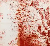 Hermann Nitsch, Relic of a painting action, 1984, oil on blood on canvas; framed