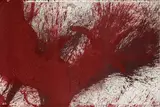 Hermann Nitsch, Schüttbild, 2005, mixed media on canvas; unframed
