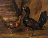 Philipp Sauerland, A pair of capercaillies in landscape, 1729, oil on canvas