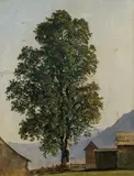 Friedrich Gauermann, Lime tree, oil on canvas on cardboard