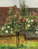 Franz Rumpler, Rose tree, oil on panel