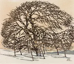 Josef Stoitzner, Tree in winter time, woodcut on paper, coloured