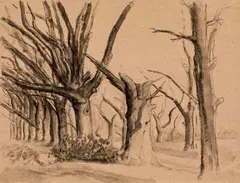 Gerhardt Frankl, Dead tree, 1943, India ink on paper, washed, unframed