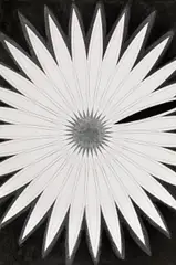 Franz Graf, Untitled, 2005, mixed media on canvas; unframed