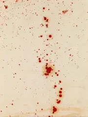Untitled by Hermann Nitsch, oil on cardboard on canvas; framed, offered Feb 2019