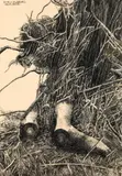 Othmar Zechyr, Untitled (Höllental)