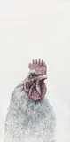 Ramona Schnekenburger, The rooster, mixed media on wooden plate; unframed