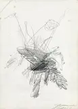Josef Mikl, Wiesenblumen in Bad Tatzmannsdorf