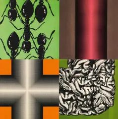 Peter Kogler, Ants, 1996, silkscreen; unframed