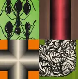 Peter Kogler, Ants