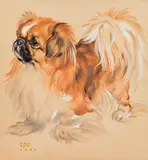 Norbertine Bresslern-Roth, Pekinese
