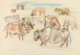 Oskar Kokoschka, Herd of cows in Scotland