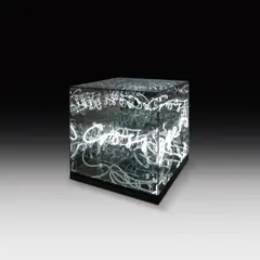 Crossover by Brigitte Kowanz, 2009, neon, mirror, sold Dec 2018