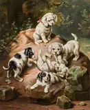 Carl Reichert, Young dogs