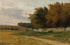 Hugo Darnaut, Field near a park wall (probably at Plankenberg), oil on canvas on cardboard