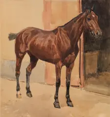 Ludwig Koch, Bay horse, 1905, watercolour on paper