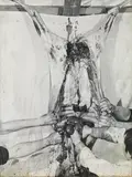 Hermann Nitsch, photography - 29. action (Munich)