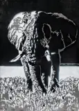 Wolfgang Uranitsch, African Elephant, 2018, acrylic varnish spray on galvanized iron; unframed