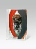 Arnulf Rainer, Untitled (mask), 2007, acrylic on mask on wood in an acrylic-glass box