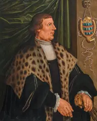 Maarten van Heemskerck, Portrait of a gentleman, oil on panel