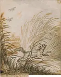 Johann Elias Ridinger, The fox on the run