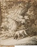 Johann Elias Ridinger, The limer