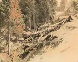 Eduard Peithner Ritter von Lichtenfels, The Ofen-Alm, 1882, watercolour, India ink on paper; unframed