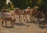 Stefan Simony, Dromedaries at the Schönbrunn Zoo, 1907, oil on panel