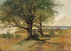 View of the Attersee towards St. Gilgen by August Schaeffer von Wienwald, oil on canvas, offered Feb 2018