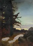 Karl Ritter von Dombrowski, Forest glade with capercaillie cock, oil on canvas