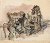 Ludwig Heinrich Jungnickel, Baboon mothers with babies