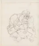 Orang-Utan by Ludwig Heinrich Jungnickel, black chalk on paper, sold Feb 2018