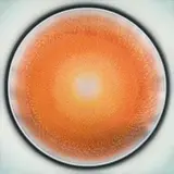 Robert Schaberl, ZF Silver-Grey-Yellow-Red-Turquoise, 2005, varnish (Iriodin) on canvas; unframed